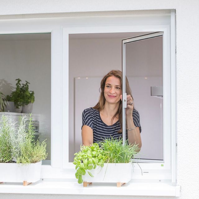 INSEKTENSCHUTZ - der nächste Sommer kommt bestimmt